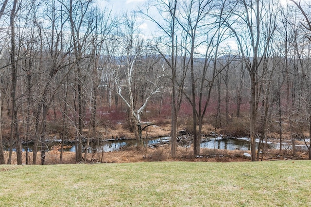 183 W St, Warwick, NY 10990 - photo 7