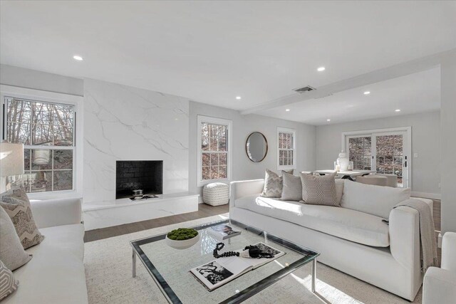 living room featuring wood-type flooring and a premium fireplace