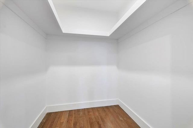 spacious closet with wood-type flooring