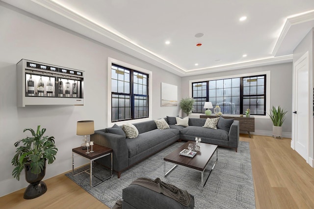 living room with a raised ceiling and light hardwood / wood-style flooring