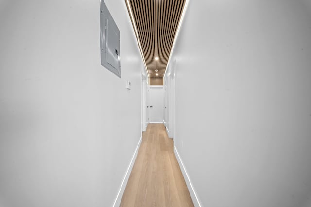 hallway with electric panel and light hardwood / wood-style flooring