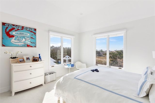 bedroom with light carpet