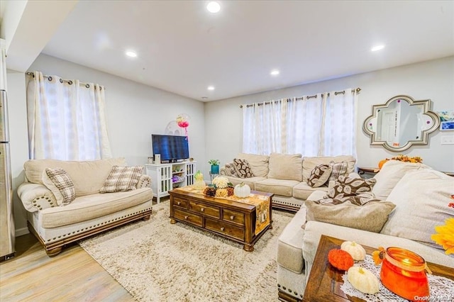 living room with light hardwood / wood-style floors