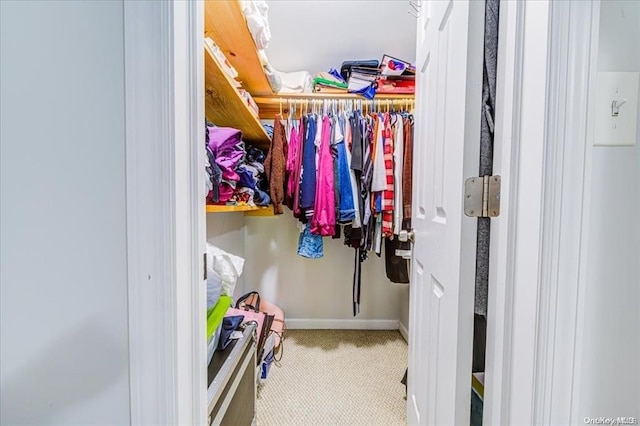 spacious closet with light carpet