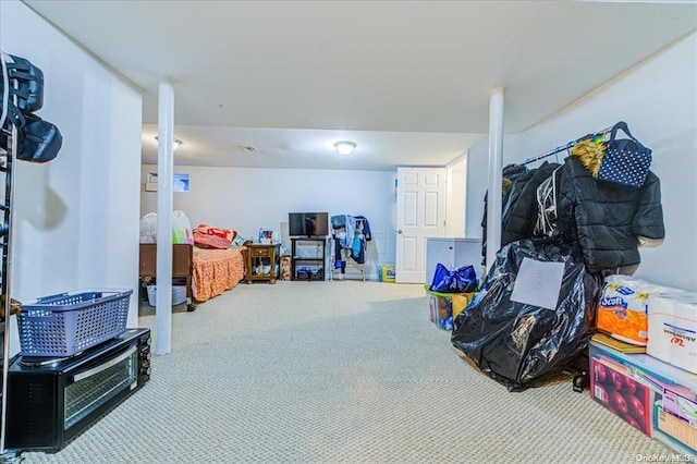 basement featuring carpet flooring