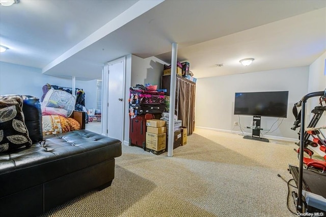 bedroom with carpet floors