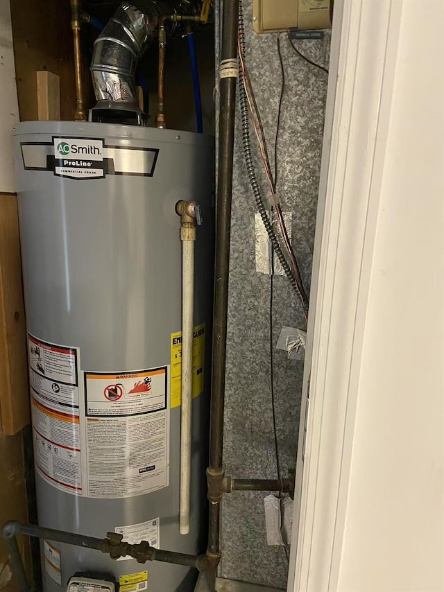 utility room with gas water heater