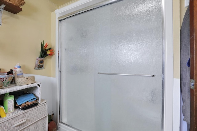 bathroom featuring a shower with door