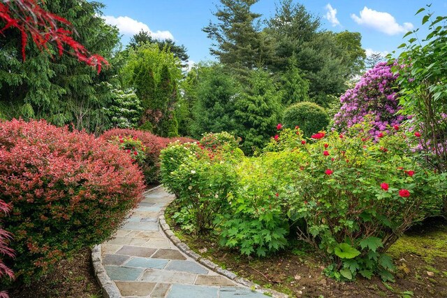 11 Vermont Ave, White Plains, NY 10606 - view of yard