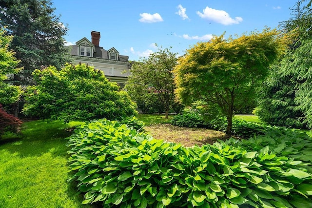 11 Vermont Ave, White Plains, NY 10606 - view of yard