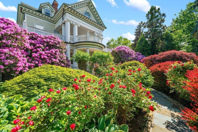 11 Vermont Ave, White Plains, NY 10606 - view of yard featuring a balcony