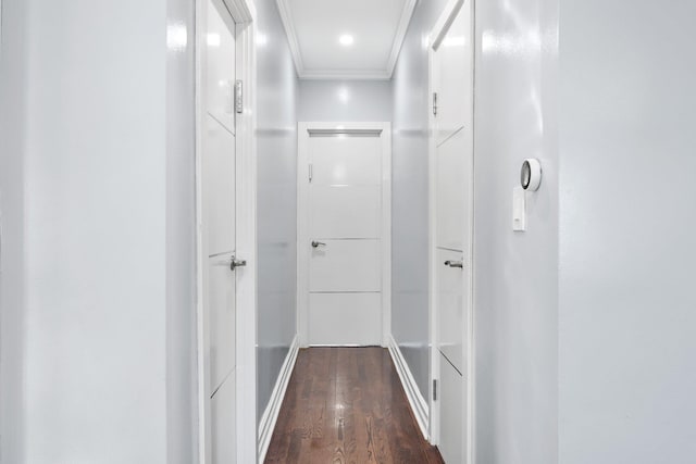 hallway with dark hardwood / wood-style floors and crown molding