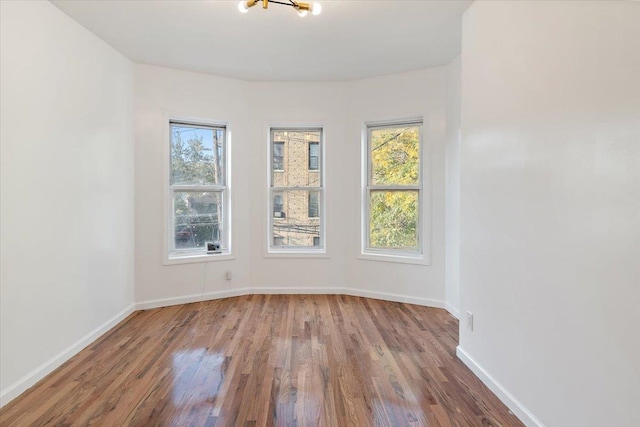 spare room with hardwood / wood-style floors, plenty of natural light, and an inviting chandelier