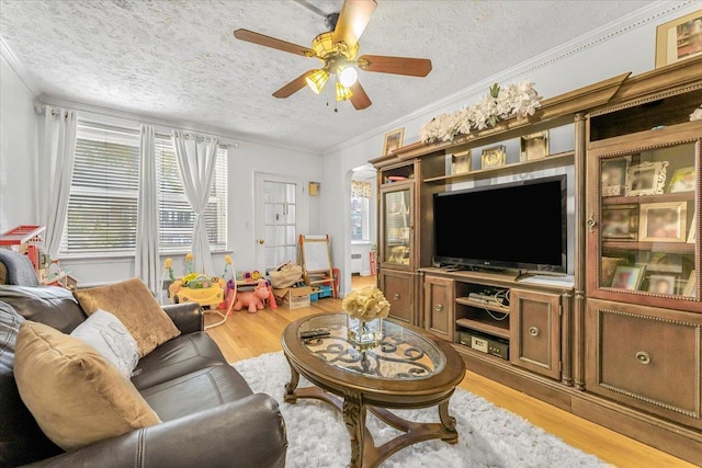 living room with ceiling fan, light hardwood / wood-style floors, a textured ceiling, and ornamental molding