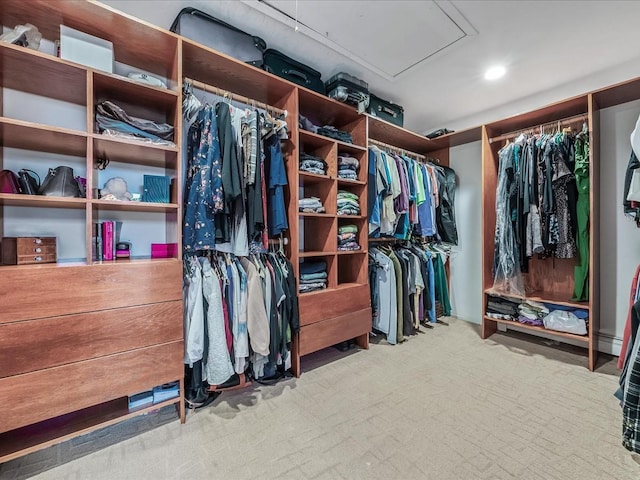 spacious closet featuring carpet flooring