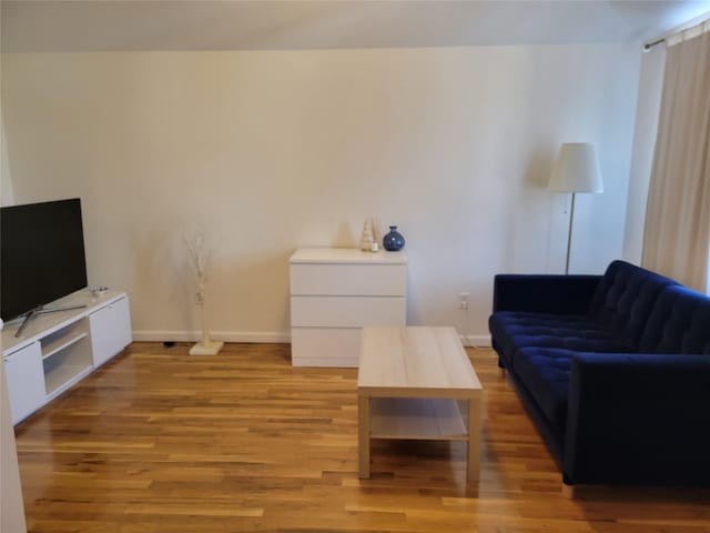 living room featuring light hardwood / wood-style flooring