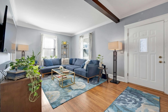 living room with crown molding, hardwood / wood-style flooring, and beam ceiling