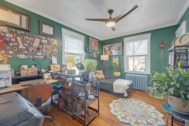 office featuring crown molding, radiator heating unit, hardwood / wood-style flooring, and plenty of natural light