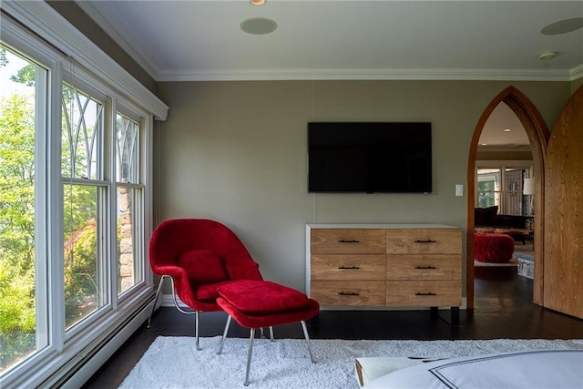 bedroom with crown molding and a baseboard heating unit