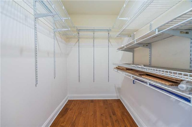 walk in closet with wood-type flooring