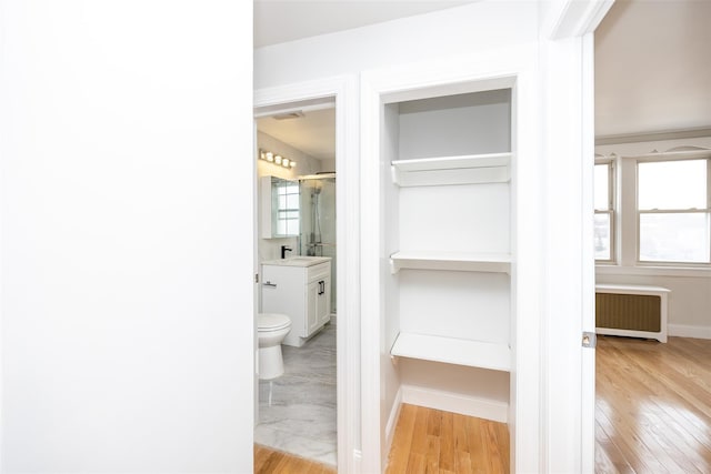 closet featuring sink and radiator heating unit