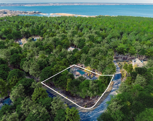 bird's eye view with a view of trees and a water view