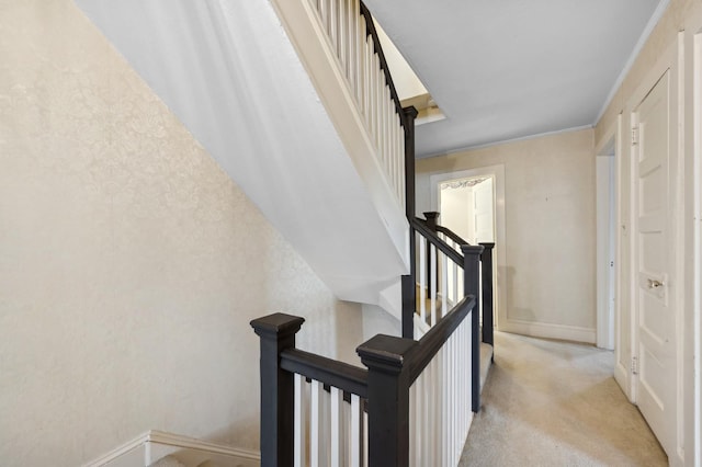 stairs with carpet and crown molding