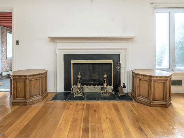 interior details with a baseboard heating unit and hardwood / wood-style flooring