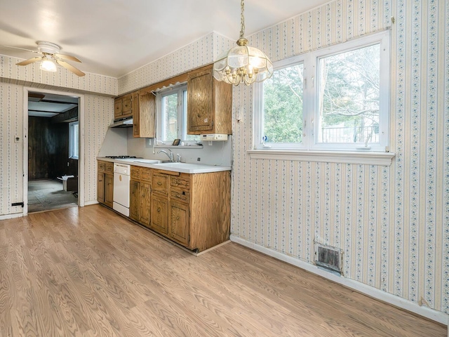 kitchen featuring white dishwasher, light hardwood / wood-style floors, pendant lighting, and sink