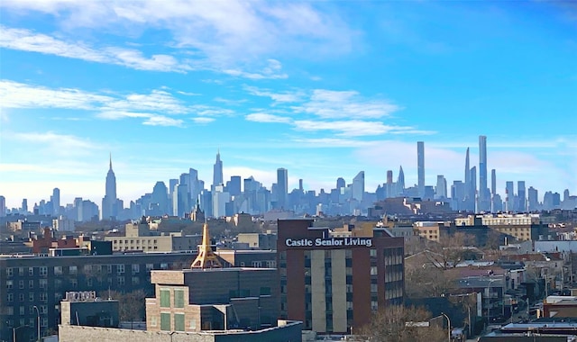 61-20 Grand Central Pkwy Unit C1006, Forest Hills, NY 11375 - city view