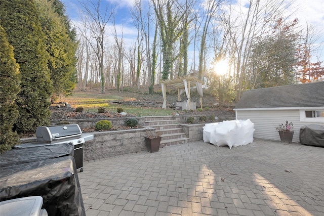 view of patio / terrace with grilling area and a pergola