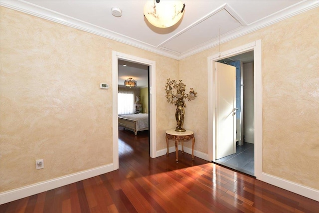 spare room featuring ornamental molding and dark hardwood / wood-style floors