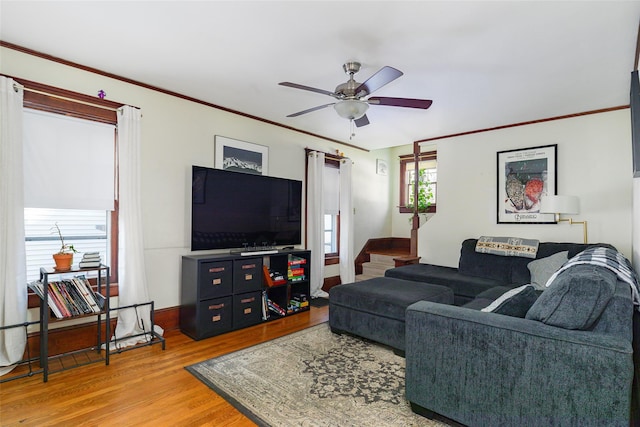living room with ceiling fan and wood-type flooring