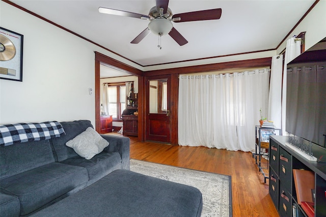 living room featuring ceiling fan, ornamental molding, and hardwood / wood-style flooring