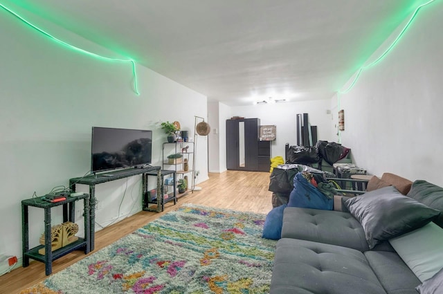 living room featuring wood-type flooring