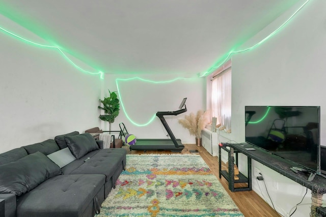 living room featuring light hardwood / wood-style floors