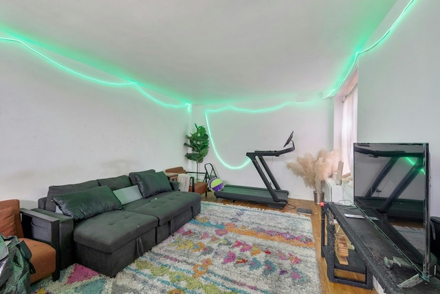 living room with wood-type flooring