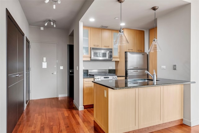 kitchen with decorative light fixtures, light brown cabinets, stainless steel appliances, and hardwood / wood-style flooring