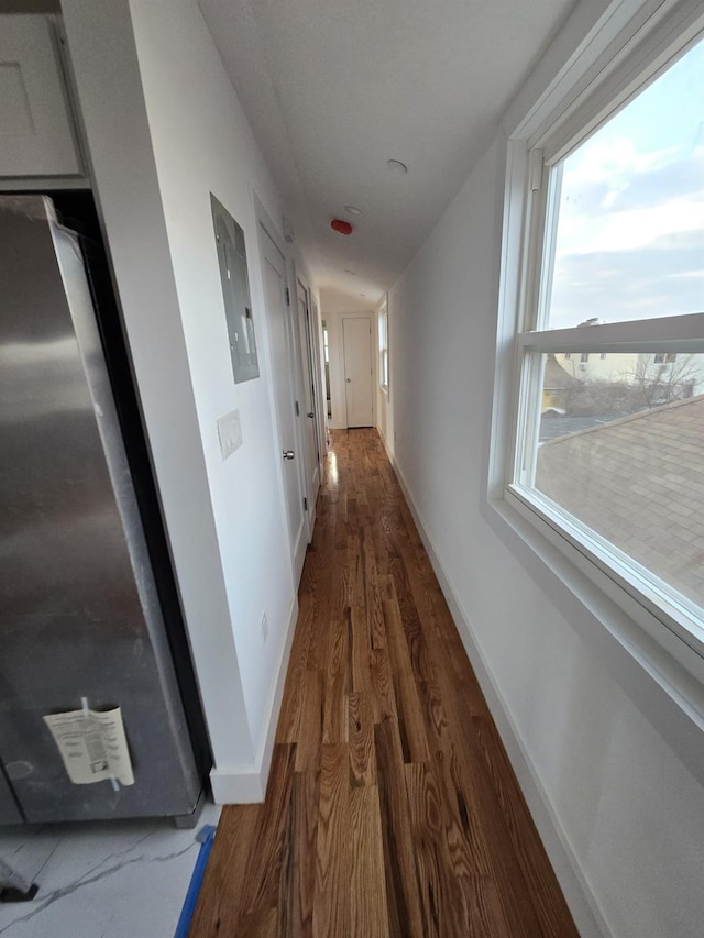 hall with dark wood-type flooring