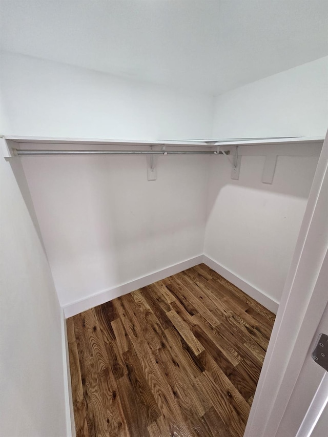 spacious closet with hardwood / wood-style floors