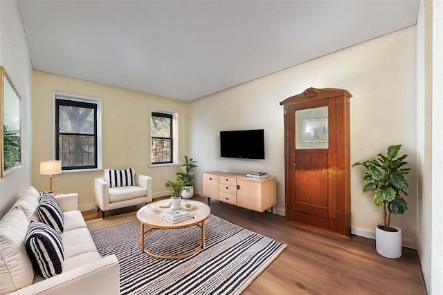 living room with dark hardwood / wood-style floors