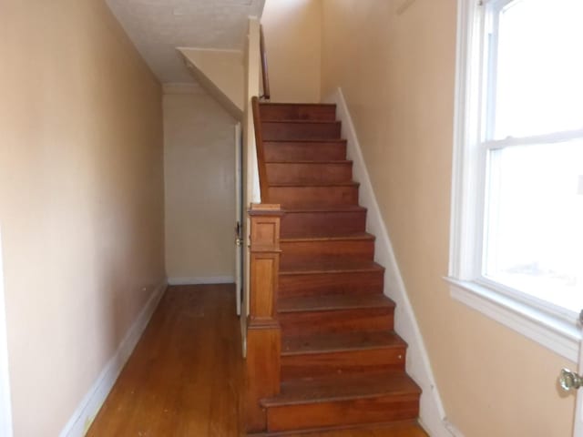 staircase with hardwood / wood-style flooring