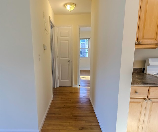 hallway with hardwood / wood-style flooring