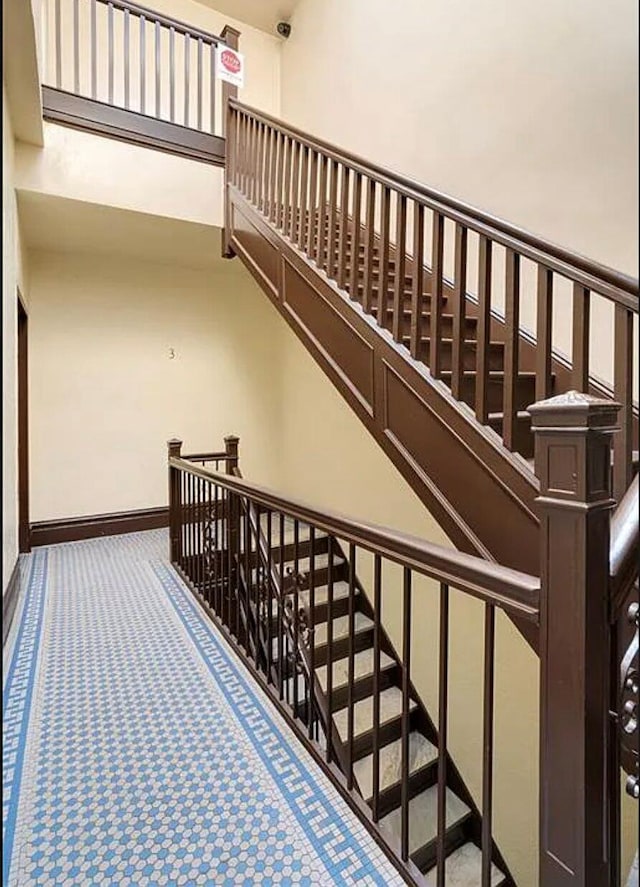 staircase featuring carpet floors