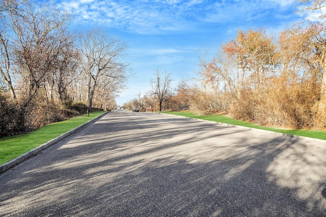 view of road