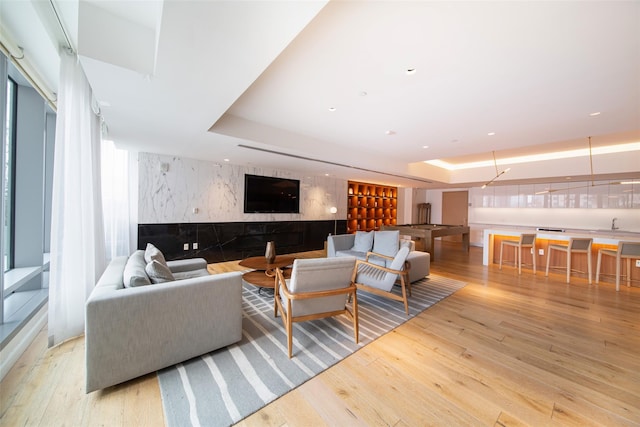 living room featuring light hardwood / wood-style floors and a raised ceiling