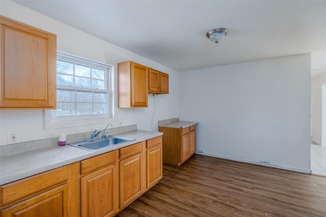 kitchen with sink and dark hardwood / wood-style flooring