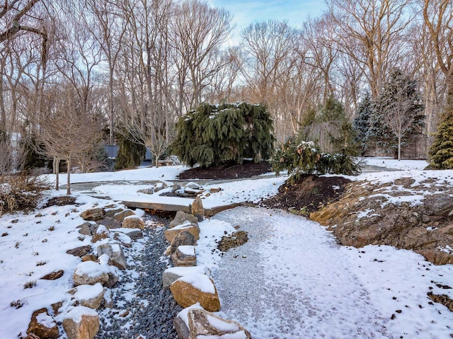 view of yard covered in snow