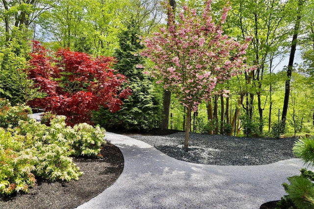 49 Indian Hill Rd, Pound Ridge, NY 10576 - photo 27
