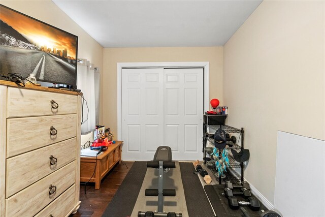 interior space with dark wood-type flooring